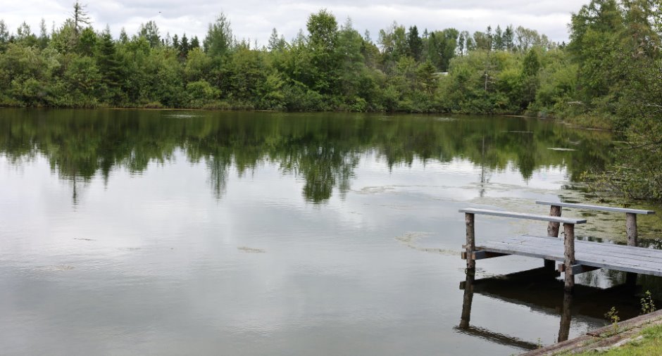 Bord de l'eau
