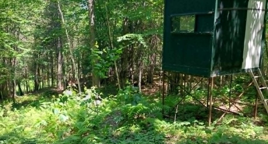 Terre/Terrain
