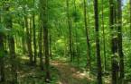 Terre/Terrain