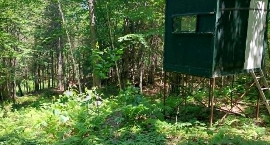 Terre/Terrain