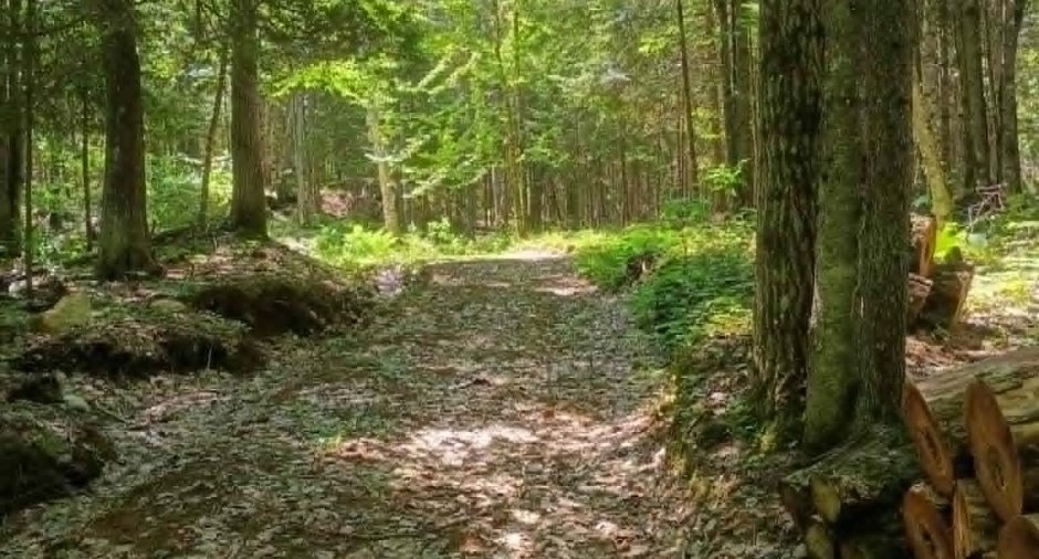 Terre/Terrain