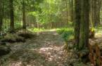 Terre/Terrain