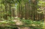 Terre/Terrain