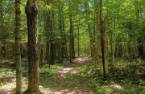 Terre/Terrain