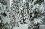 Terre/Terrain