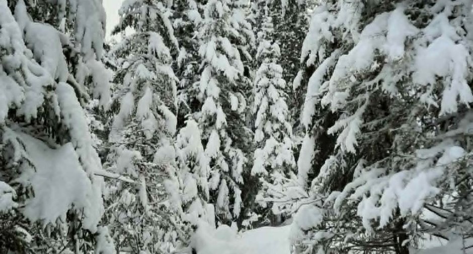 Terre/Terrain
