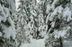 Terre/Terrain