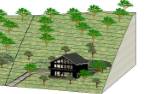 Terre/Terrain