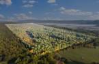 Land/Lot