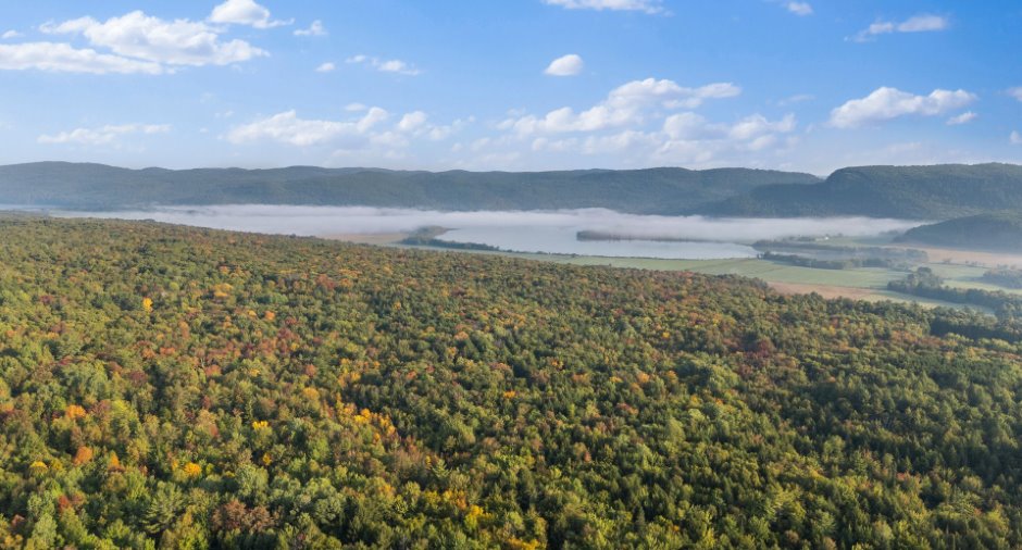 Aerial photo