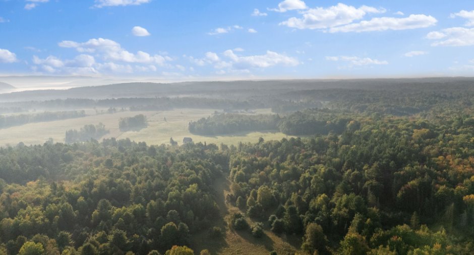Aerial photo