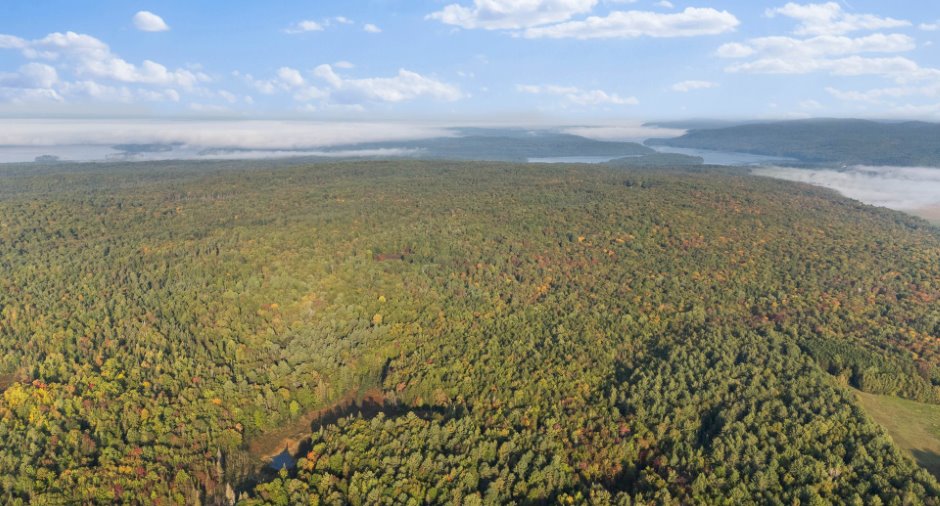 Aerial photo