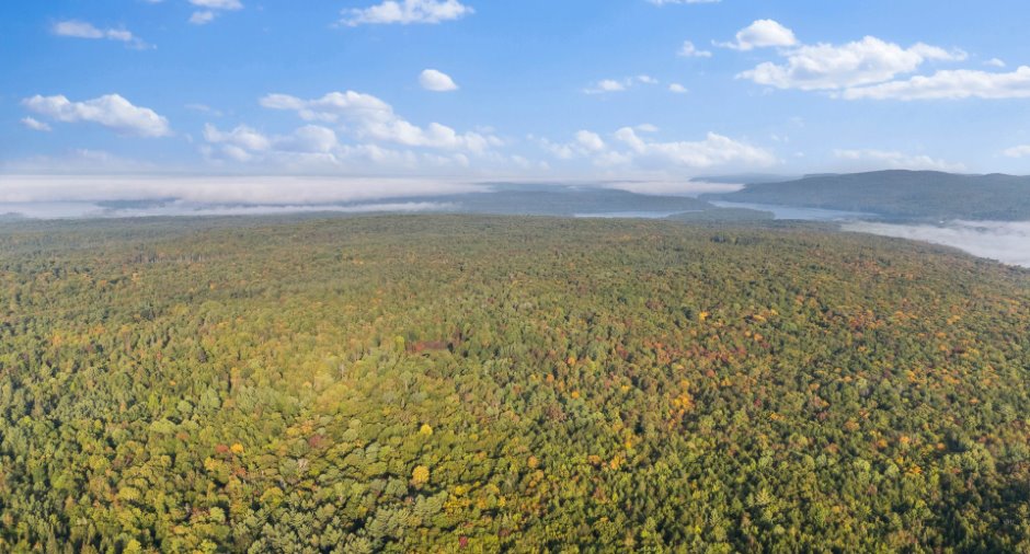 Aerial photo