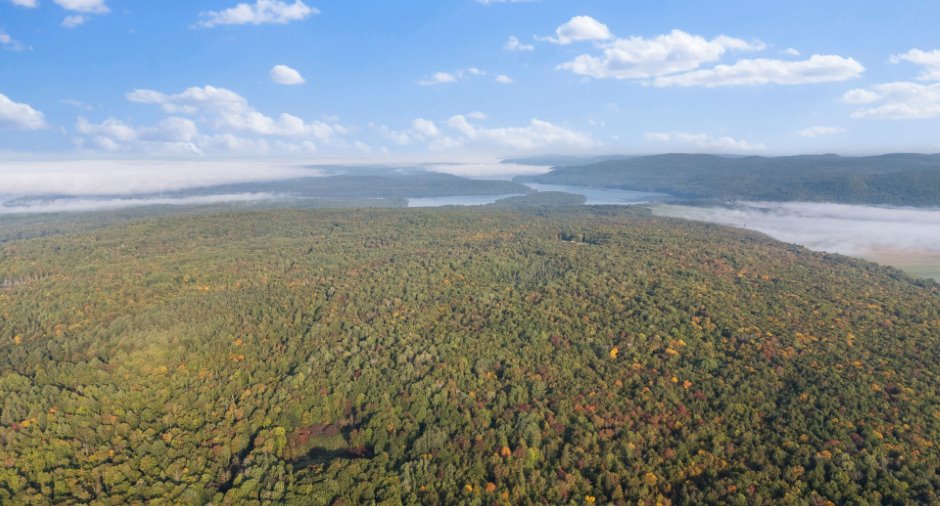 Aerial photo