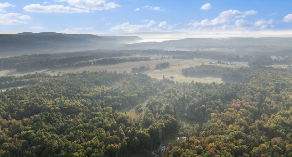 Aerial photo