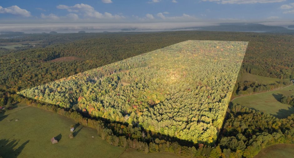 Land/Lot