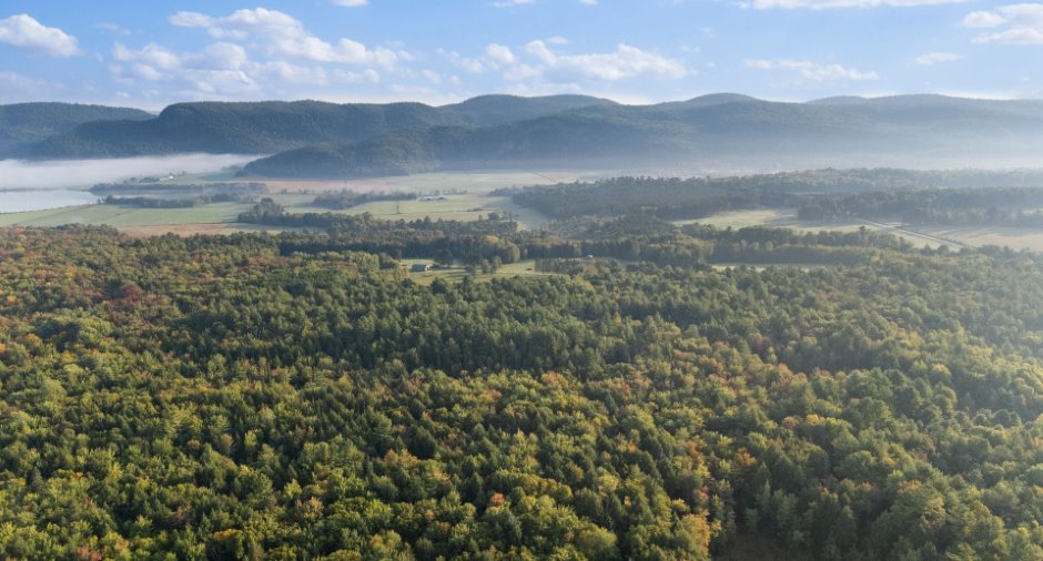 Aerial photo