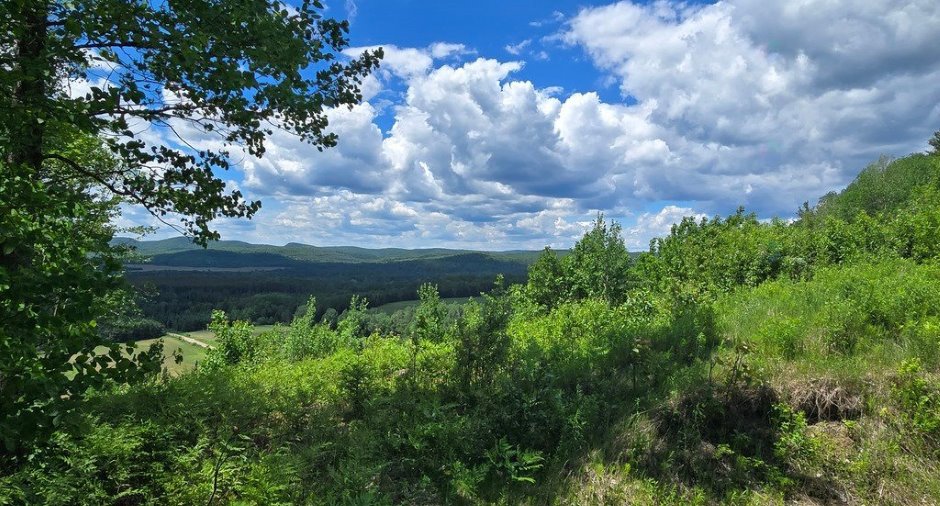 Vue