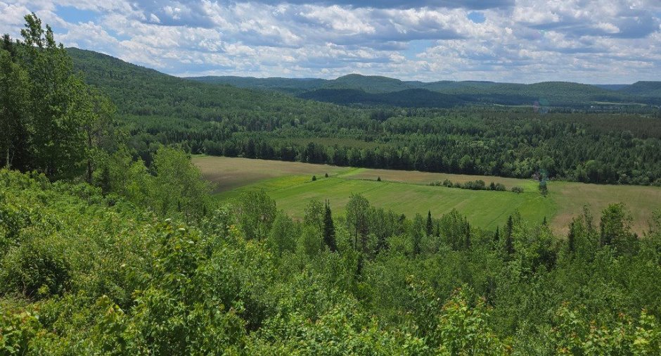 Vue