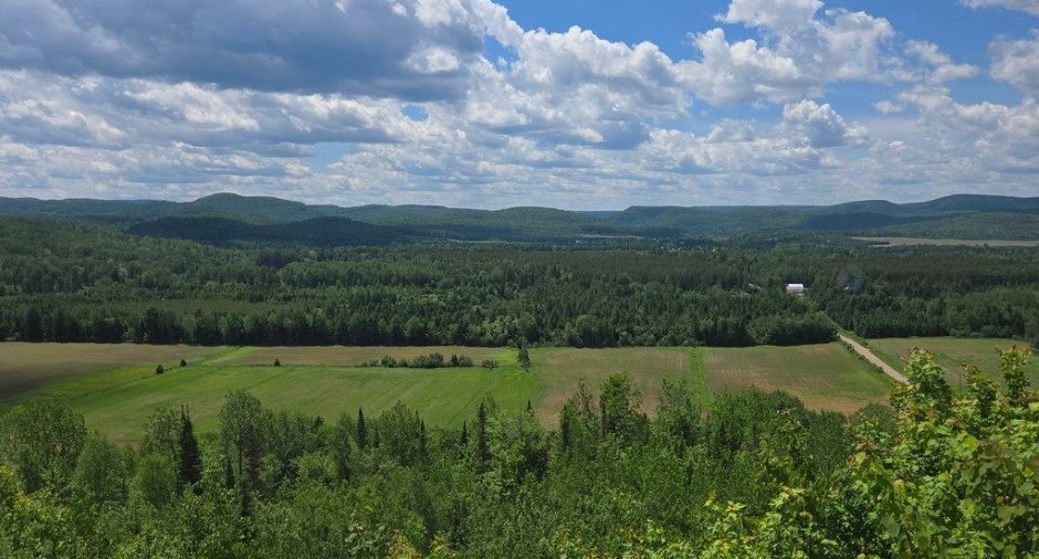 Vue
