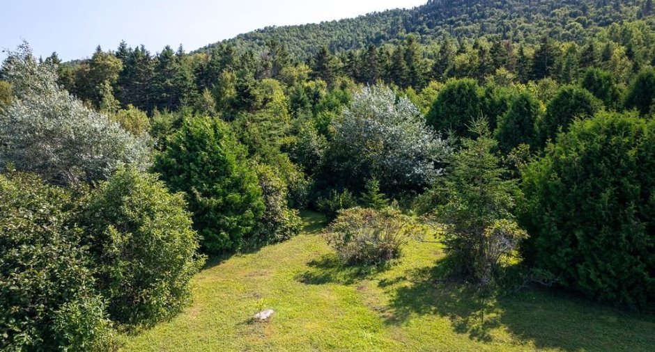 Terre/Terrain