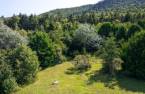 Terre/Terrain