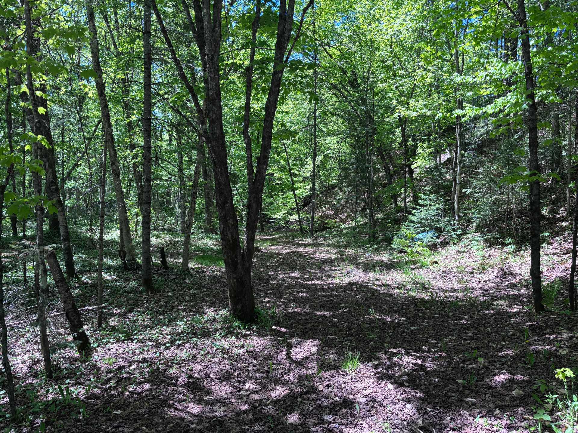 Mtée du Lac-Bleu — photo 2