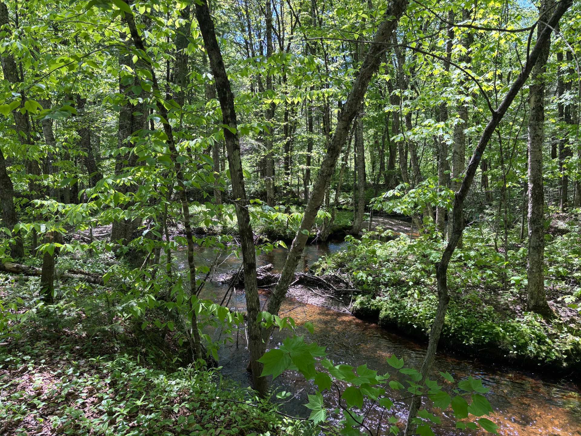 Mtée du Lac-Bleu — photo 3