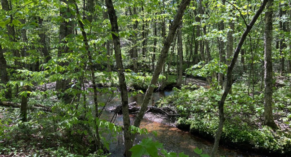 Accès au plan d'eau