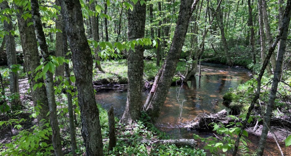 Accès au plan d'eau