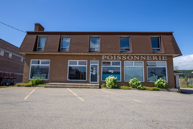 Local commercial à vendre à Baie-Saint-Paul — 983 - 985, Boul. Monseigneur-De Laval