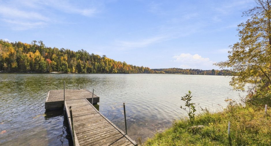 Bord de l'eau