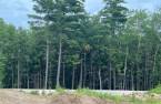 Terre/Terrain