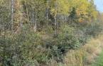 Terre/Terrain