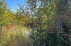 Terre/Terrain