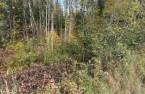 Terre/Terrain
