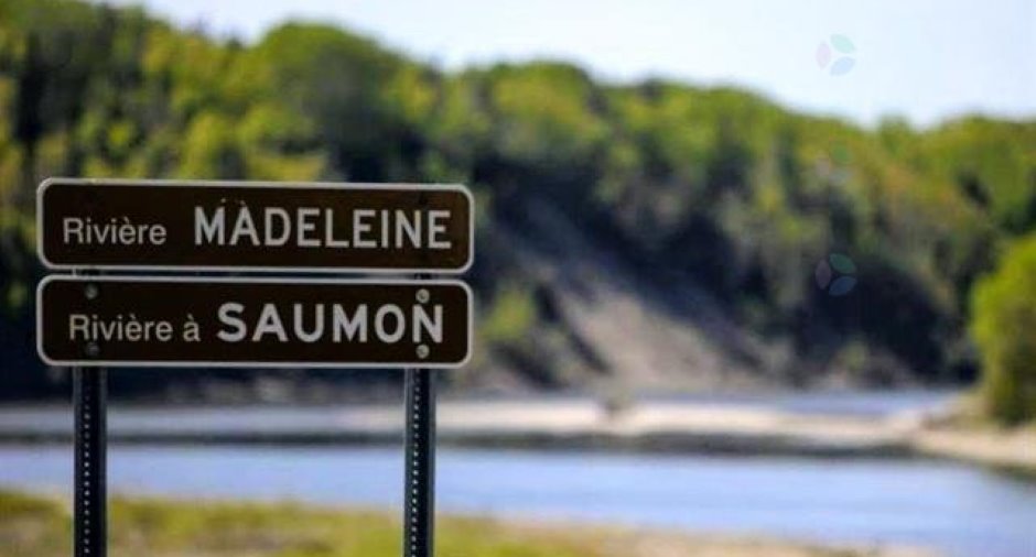 Proximité