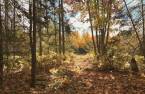 Land/Lot