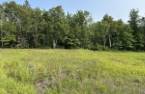 Land/Lot