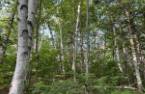 Land/Lot