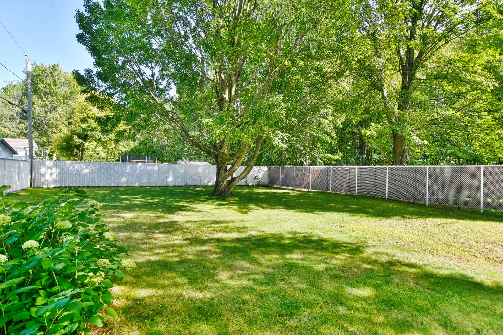 4505 Rue Galarneau — photo 2