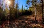 Terre/Terrain