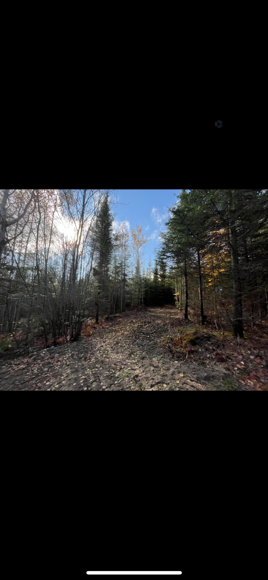 191 Ch. Bélanger — photo 2