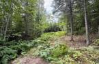 Terre/Terrain