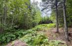 Terre/Terrain
