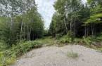 Terre/Terrain