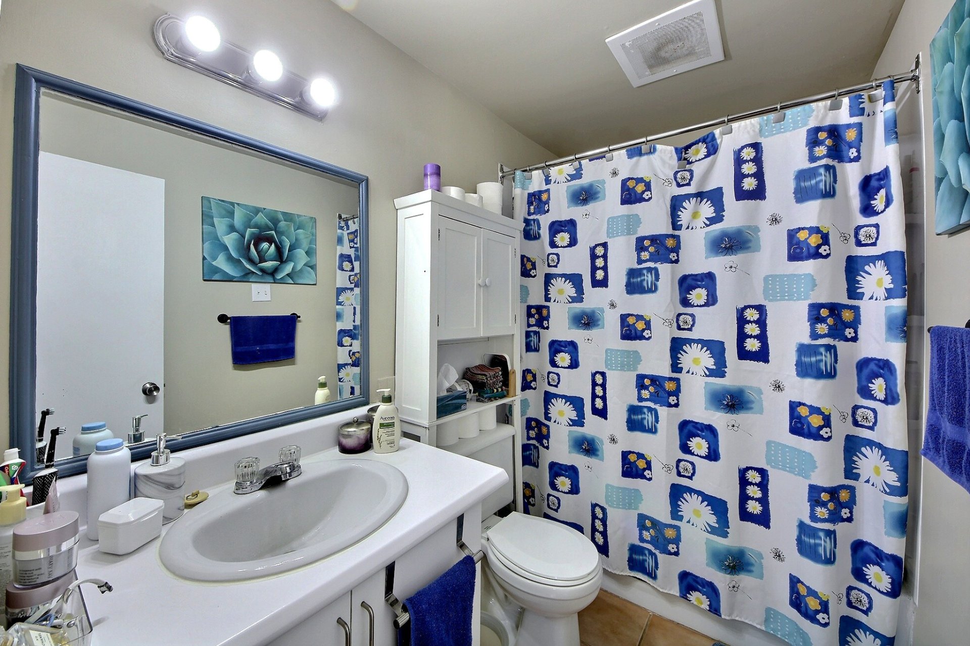 Salle de bains