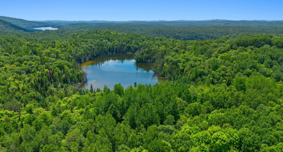 Vue d'ensemble