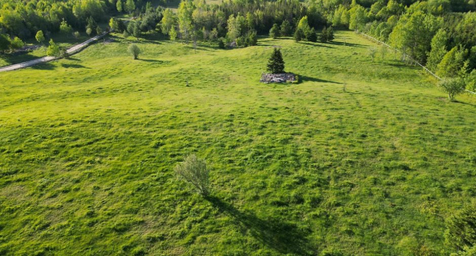 Vue