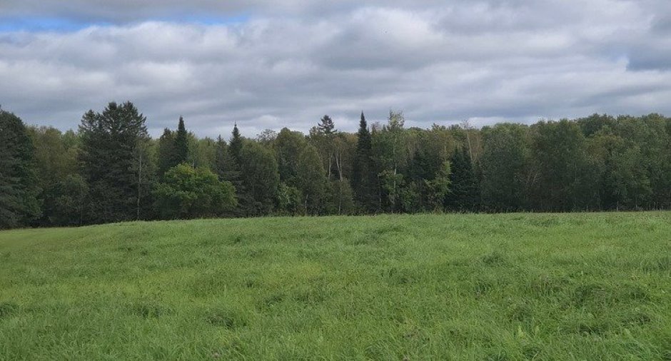 Terre/Terrain